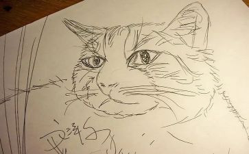 一年级上册《画》教案推荐5篇