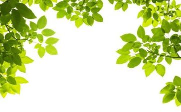 用环保袋的心得体会7篇
