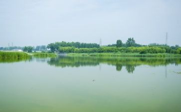 写关于环境的调查报告6篇