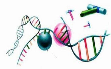 理化生组第二学期工作计划5篇