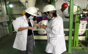 化验工作总结及计划5篇