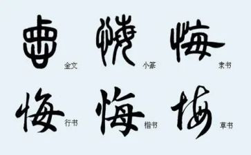 观看罪与悔教育片心得体会参考6篇