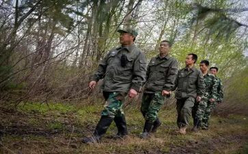 村对护林员工作总结报告范文6篇