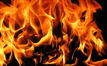 我的理想火了作文6篇