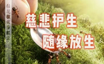 保护生态文明演讲稿7篇