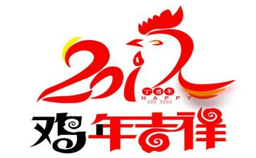 作文小鸡300字优秀5篇