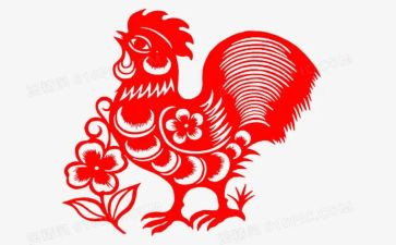 吃鸡作文5篇