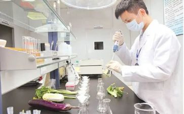 检测站工作总结范文7篇