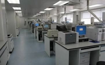 检测质量总结报告5篇