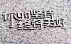 坚持成功作文800字6篇