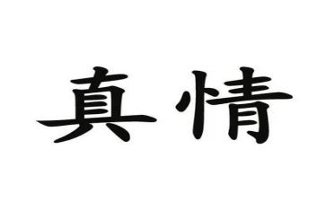 真情作文600字作文8篇