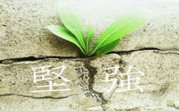 够坚强作文范文8篇