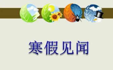 我春节的见闻作文最新7篇