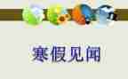 我春节的见闻作文最新7篇