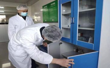 检验工作总结个人总结范文8篇