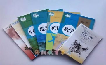 职教科半年工作总结7篇