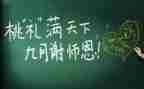 最美教师蒙芳心得5篇