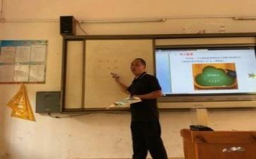 教研工作述职报告6篇