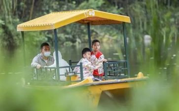 幼儿园教案郊游反思5篇