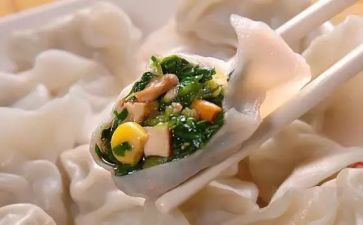 饺子宴活动方案参考5篇