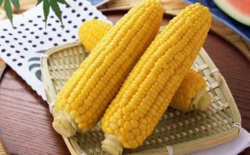 煮玉米教案7篇