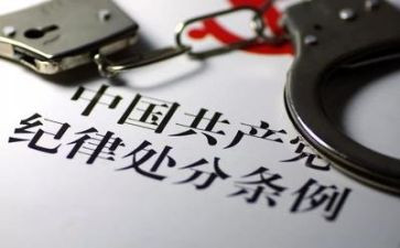 讲纪律总结报告7篇