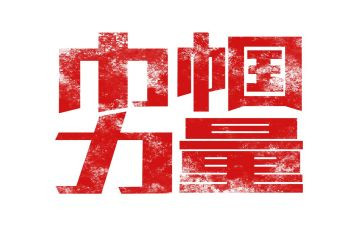 巾帼建功标兵主要事迹材料800字5篇