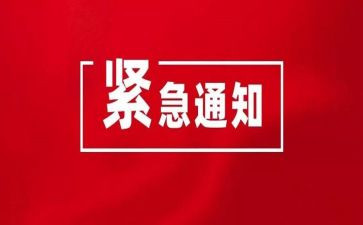 《紧急迫降》观后感5篇