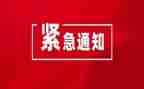 《紧急迫降》观后感5篇