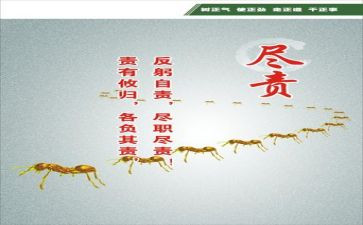 教师个人履职尽责工作总结6篇
