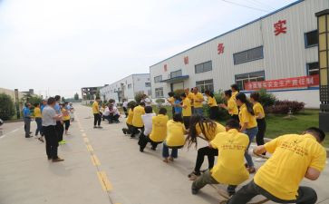 集体活动策划最新5篇