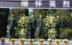 清明祭英烈大学生作文7篇