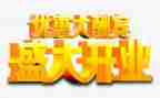 公司总经理开业讲话稿5篇