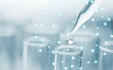 找种子大班科学活动教案7篇