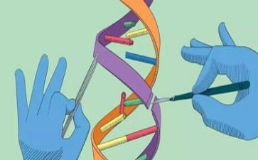 大班纸的科学活动教案6篇