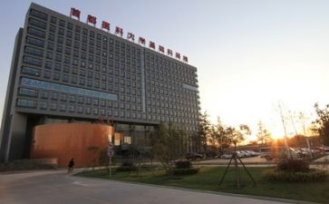 做科研的心得体会模板5篇