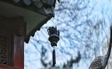 军训苦与乐心得体会推荐6篇