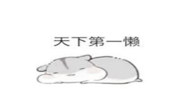 我的懒的老师作文8篇