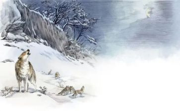 狼王梦梗概作文7篇
