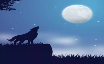 《狼王梦》心得体会模板5篇