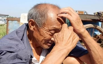 老人节活动总结优秀6篇
