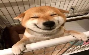 快乐迎新年作文推荐7篇