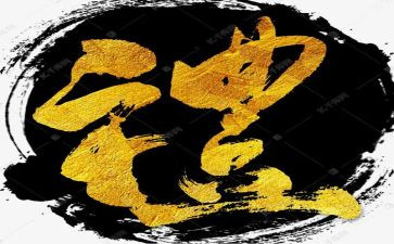 小学礼仪培训的心得体会8篇