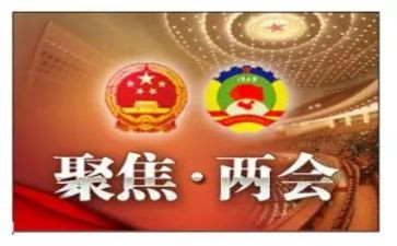 在两会心得体会8篇