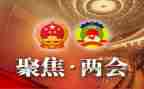雪的作文4篇