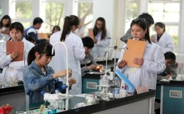 理化教学教研工作计划8篇