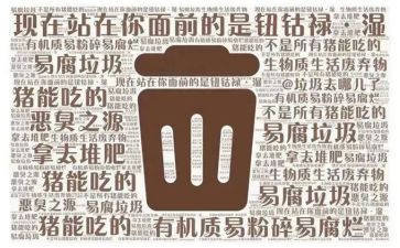垃圾的分类教案优质6篇