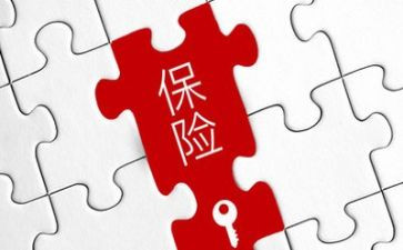 保险理赔工作总结6篇