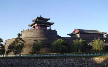 历史教师述职个人述职报告8篇