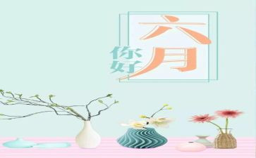写六月六的作文7篇